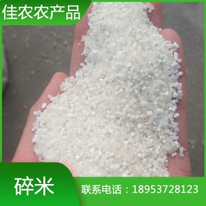 山東米廠大量銷售大碎米 小碎米 拋光碎米 量大從優