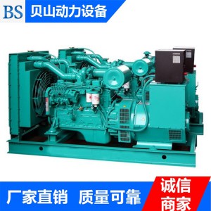 貝山動(dòng)力專業(yè)銷售康明斯發(fā)電機(jī)組 40KW柴油發(fā)電機(jī)組 質(zhì)優(yōu)價(jià)廉