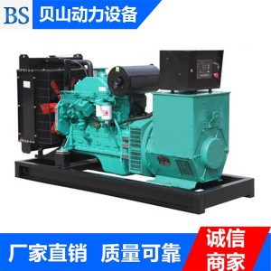 貝山動(dòng)力專業(yè)銷售康明斯發(fā)電機(jī)組 40KW柴油發(fā)電機(jī)組 質(zhì)優(yōu)價(jià)廉