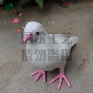 動物模型標本 仿真鴿子設計制作