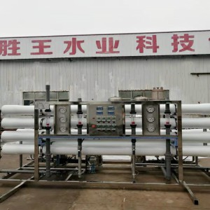 20T雙級(jí)反滲透 大型工業(yè)純水脫鹽 勝王水處理 去離子過(guò)濾
