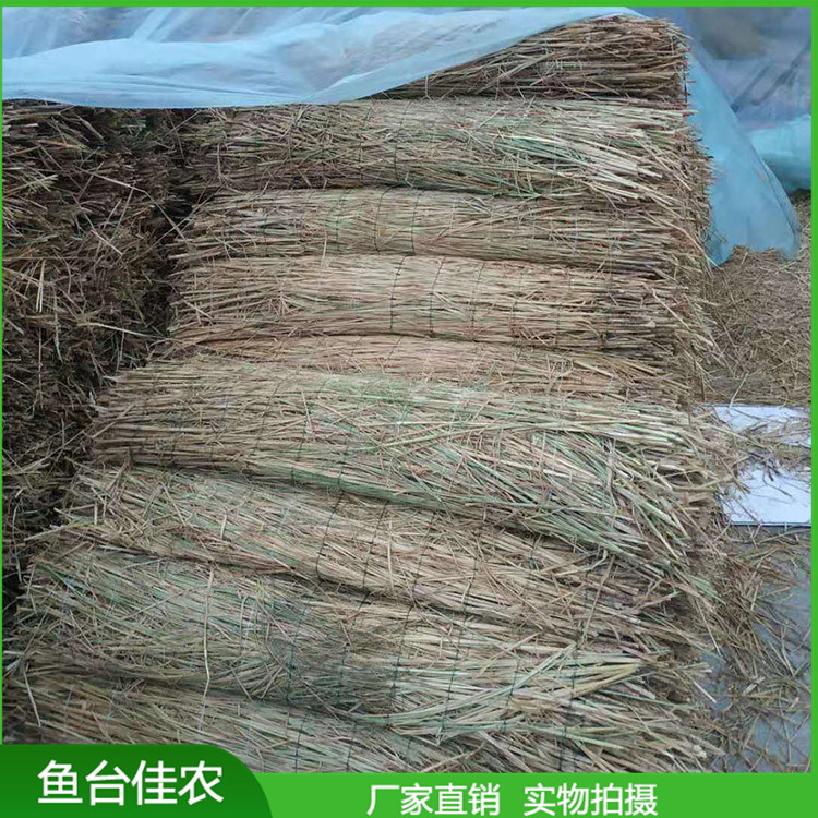 大棚保溫草苫子 運(yùn)輸車輛保溫草簾子 綠化養(yǎng)護(hù)草苫子專業(yè)廠家加工定制