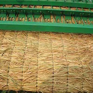 蔬菜儲(chǔ)藏保溫草苫子 大棚用草簾 誠盛農(nóng)產(chǎn)品