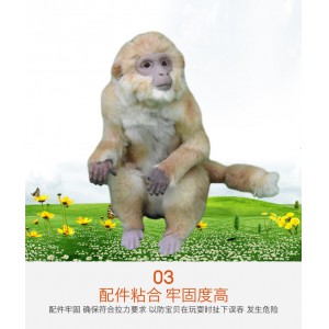 動(dòng)物仿真模型 創(chuàng)新動(dòng)物 回歸自然動(dòng)物